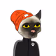 Gutter Cat #2384