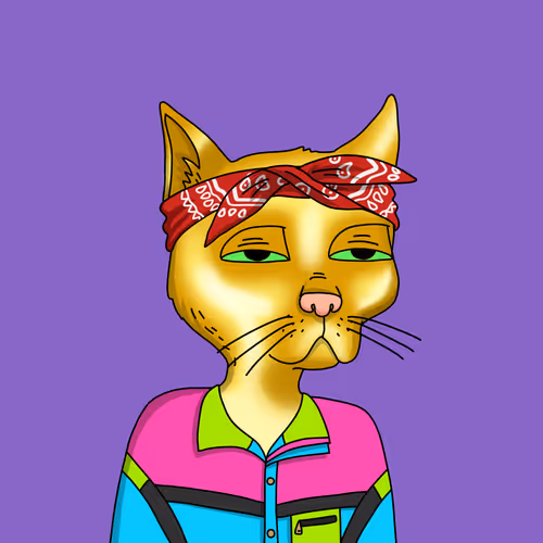 Gutter Cat #2169