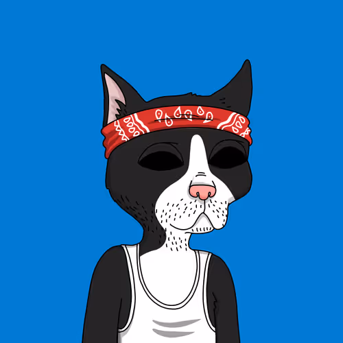 Guttercatgang