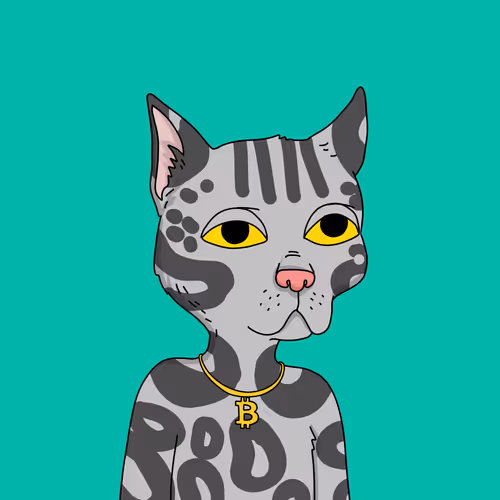 Gutter Cat #2994