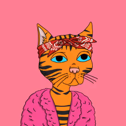 Gutter Cat #1242