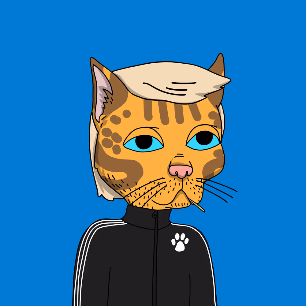 Gutter Cat #2970
