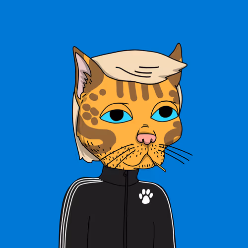 Gutter Cat #2970