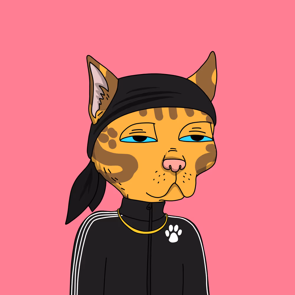 Gutter Cat #2996