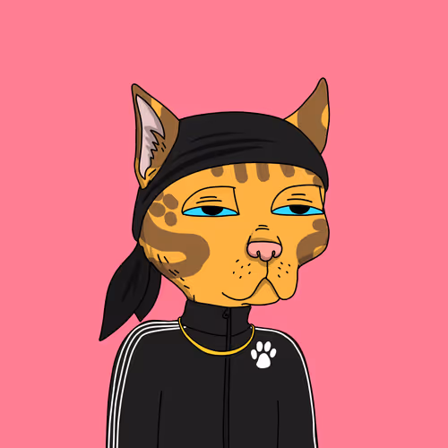 Gutter Cat #2996