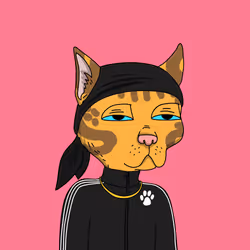 Gutter Cat #2996