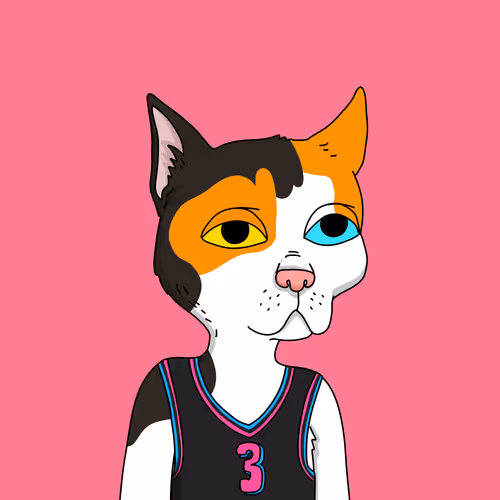 Gutter Cat #2895