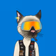 Gutter Cat #261