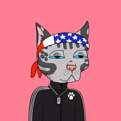 Gutter Cat #1349