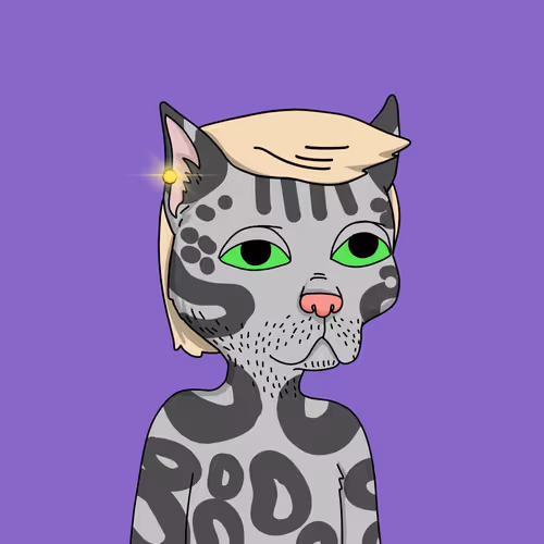 Gutter Cat #2669