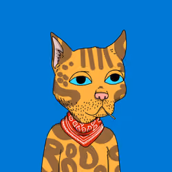 Gutter Cat #2560
