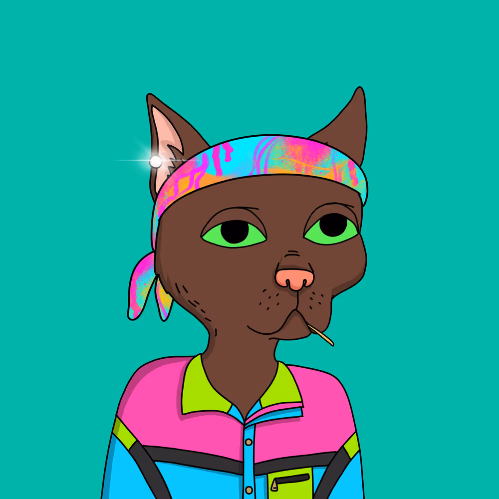 Gutter Cat #2964