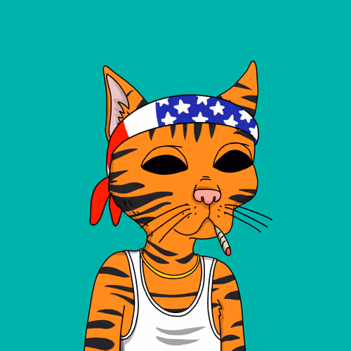 Gutter Cat #2543
