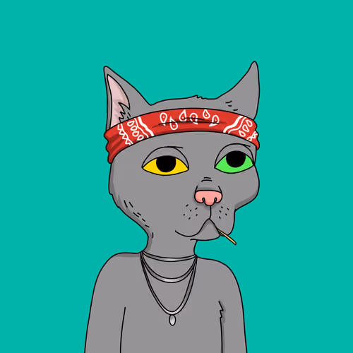 Gutter Cat #662