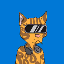 Gutter Cat #2332