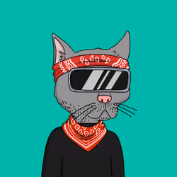Gutter Cat #2644