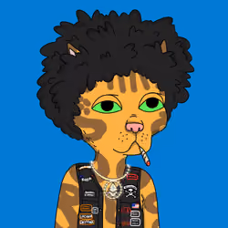 Gutter Cat #2773