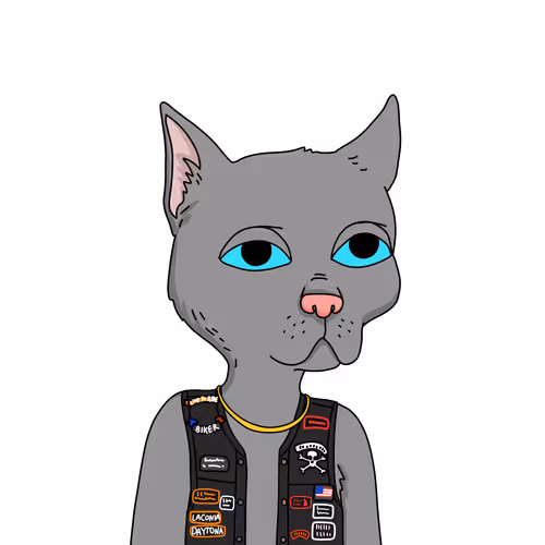 Gutter Cat #2978