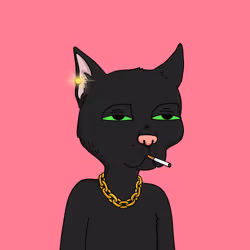 Gutter Cat #2916