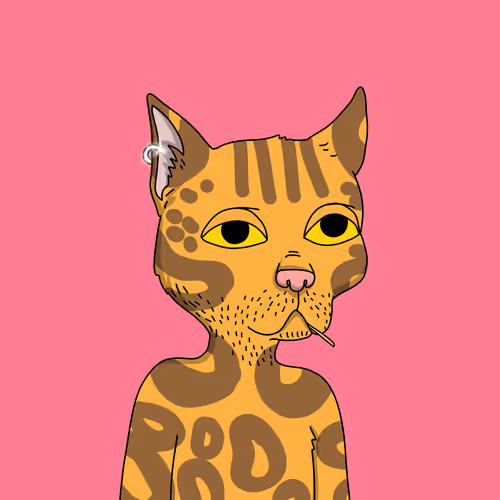 Gutter Cat #2889
