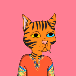 Gutter Cat #2762