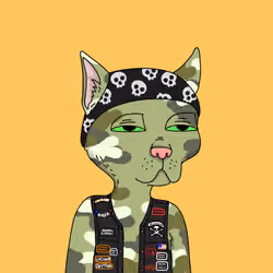 Gutter Cat #969
