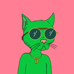 Gutter Cat #2836
