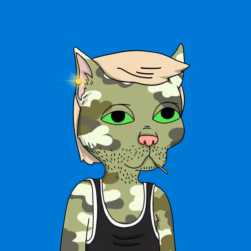 Gutter Cat #2214