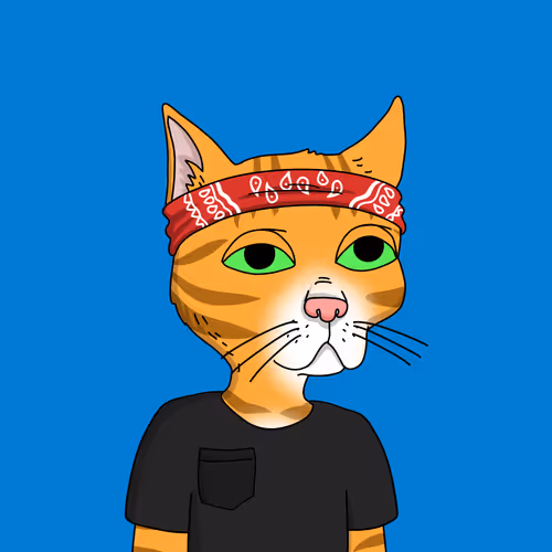 Gutter Cat #478