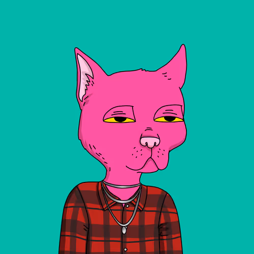 Gutter Cat #1370