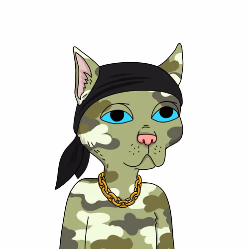 Gutter Cat #1594