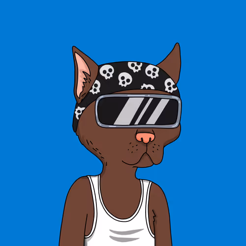 Gutter Cat #2117