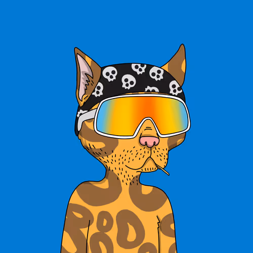 Guttercatgang