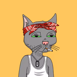 Gutter Cat #801
