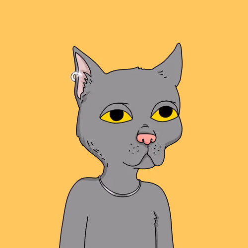 Gutter Cat #2084