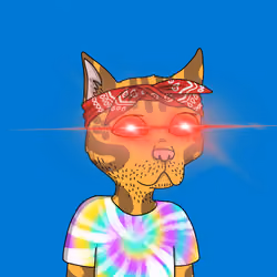 Gutter Cat #1687