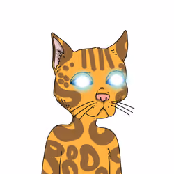 Gutter Cat #2841