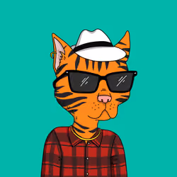 Gutter Cat #2479