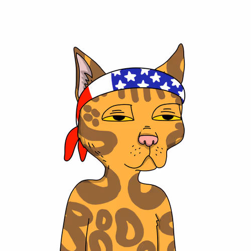 Gutter Cat #2890