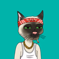Gutter Cat #1574
