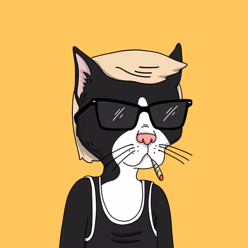Gutter Cat #2814