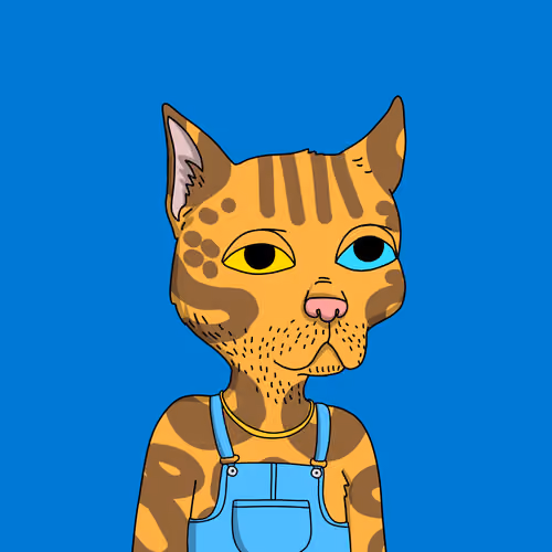 Gutter Cat #1378