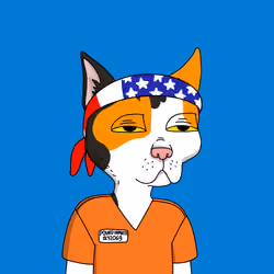 Gutter Cat #1641