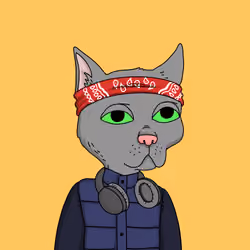 Gutter Cat #2566