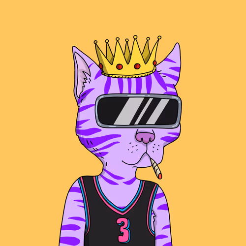 Gutter Cat #2537