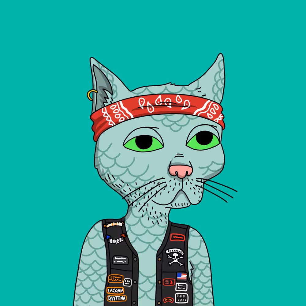 Gutter Cat #2961
