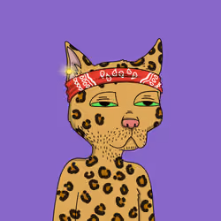 Gutter Cat #241