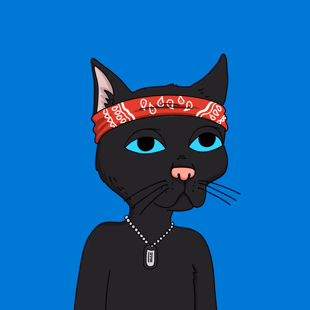 Gutter Cat #2974