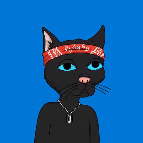 Gutter Cat #2974