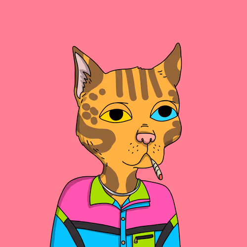 Gutter Cat #74